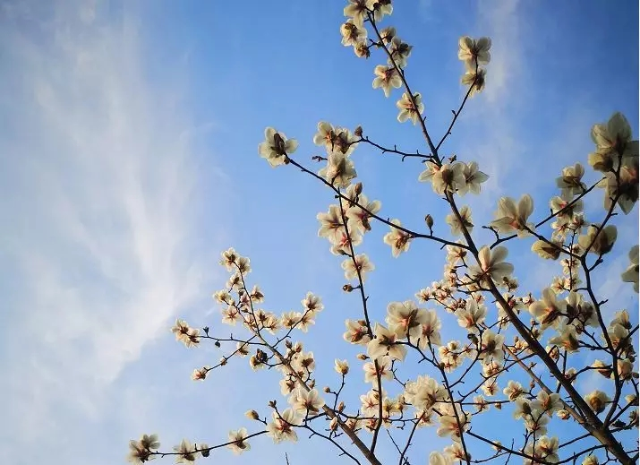 春暖花开